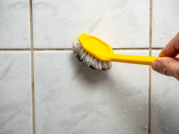 Best Emergency Mold Removal  in Golden Valley, MN