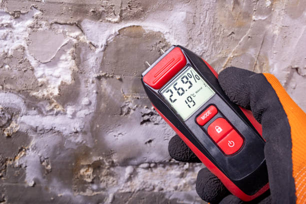 Attic Mold Removal in Golden Valley, MN