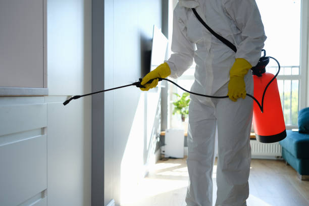 Best Professional Mold Removal  in Golden Valley, MN